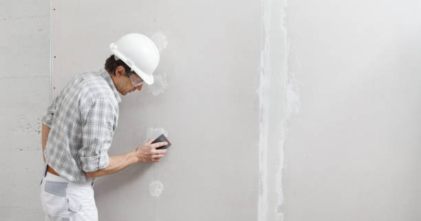 Trusted Asbury, IA Mold Removal Experts