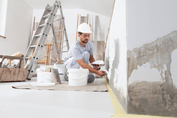 Best Basement Mold Removal  in Asbury, IA