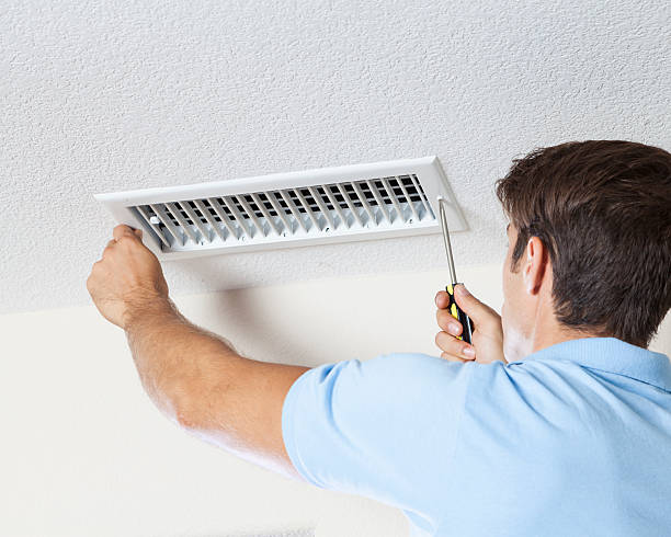 Best Attic Mold Removal  in Asbury, IA