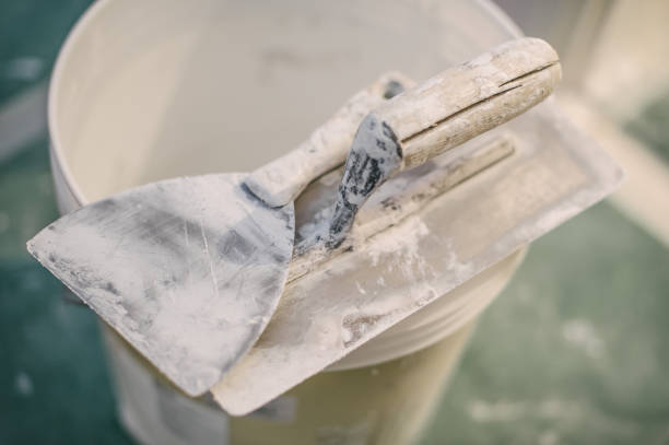 Best Mold Damage Restoration  in Asbury, IA